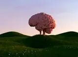 هر چه زمان بیشتری را صرف هیچ‌کاری نکردن کنید، برای مغز بهتر است!