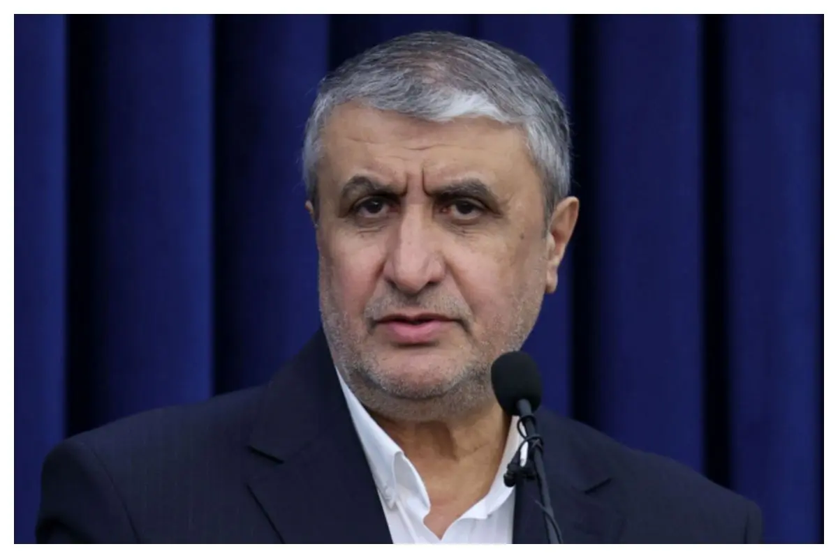 نماینده ایران در وین: عدم صدور روادید توسط اتریش برای محمد اسلامی نقض جدی حقوق کشورمان است/ روسیه: اتریش با لغو روادید رئیس سازمان انرژی اتمی ایران، موافقت‌نامه مقر آژانس را نقض کرد