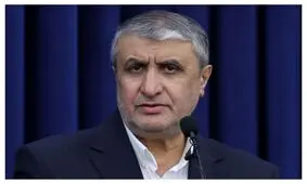 نماینده ایران در وین: عدم صدور روادید توسط اتریش برای محمد اسلامی نقض جدی حقوق کشورمان است/ روسیه: اتریش با لغو روادید رئیس سازمان انرژی اتمی ایران، موافقت‌نامه مقر آژانس را نقض کرد