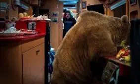 عکس بدلکار نقی و بهتاش در سکانس جنجالی لو رفت