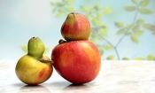 پذیرش خود و جهان اطراف مان چرا؟ و چگونه؟