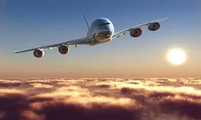 پیامک خلبان قبل از فرود به همسرش!/ ویدئو