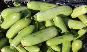 یک خوردنی مفید برای کاهش نفخ