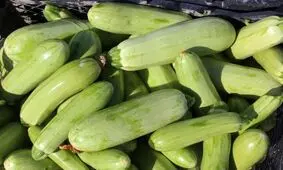 یک خوردنی مفید برای کاهش نفخ
