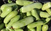 یک خوردنی مفید برای کاهش نفخ