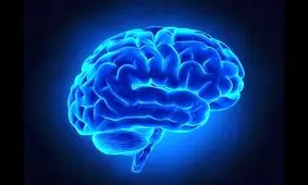 ویتامینی که کمبودش منجر به کوچک شدن مغز می‌شود