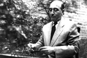 ابوالحسنخان صبا در لباس محلی