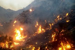 مهار آتش سوزی منابع طبیعی تنگ خاص ممسنی
