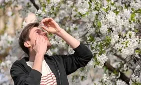 این مواد غذایی آلرژی بهاری را کاهش می دهد