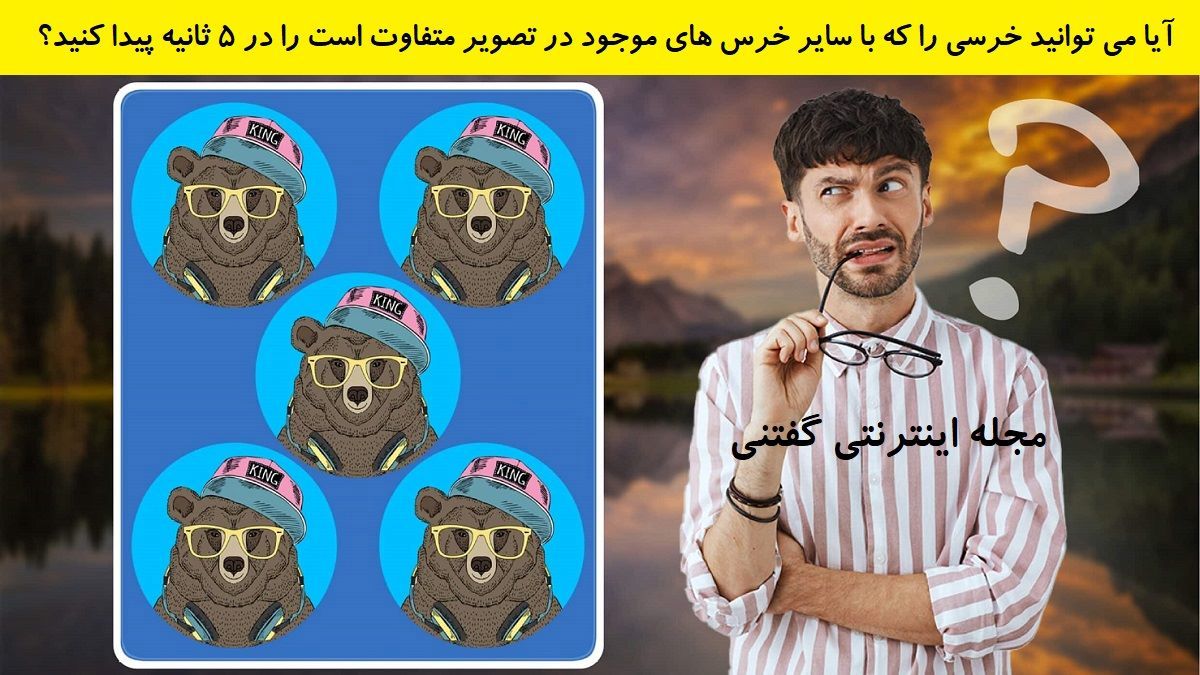 تست بینایی یافتن خرس متفاوت