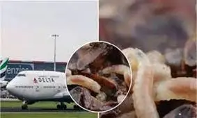 باران کرم باعث فرود اضطراری هواپیمایی دلتا شد 