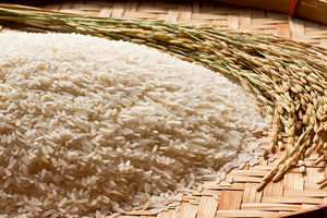 روش نگهداری برنج خام
