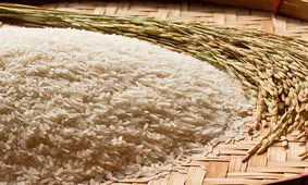 روش نگهداری برنج خام