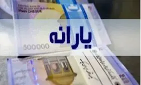 برقراری مجدد یارانه 3 میلیون نفر/ خرید ارز کارت ملی جزء فعالیت اقتصاد خانوار است