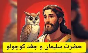 داستان حضرت سلیمان و جغد کوچولو/ درخواست عجیب همسر سلیمان از پیامبری که زبان پرنده ها را می دانست