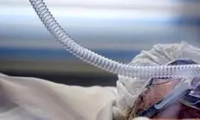 واکنش ۲ امام جمعه به مسمومیت الکلی پزشکان/ امام جمعه بخش مرکزی یزد: باید برخورد شود/ امام جمعه یاسوج: در جامعه اسلامی شراب خواری حرام بوده، باید تذکر و جلوگیری شود