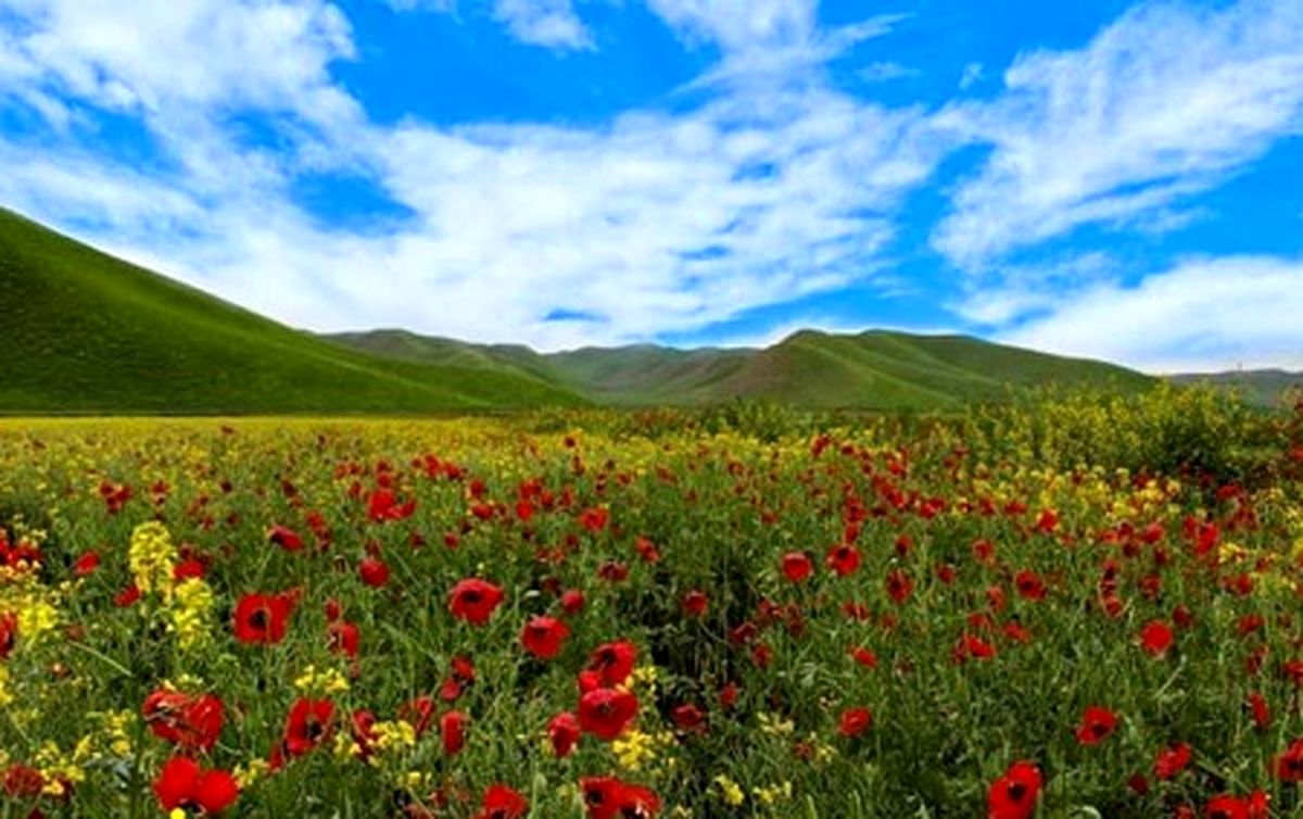 آشنایی با ترکمن صحرا