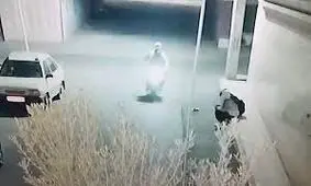 دستگیری زورگیرانی که از کودکان موبایل قاپی می کردند/ ویدئو