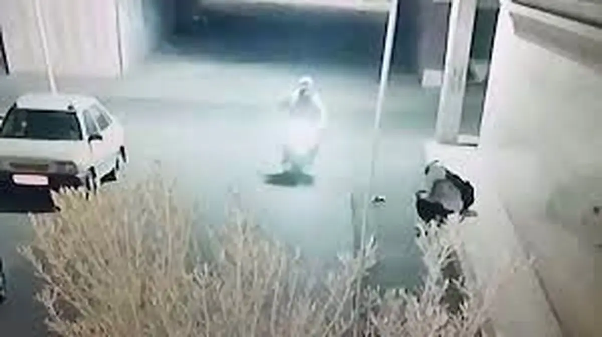 دستگیری زورگیرانی که از کودکان موبایل قاپی می کردند/ ویدئو