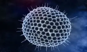 یک بیماری ویروسی با تاول های دردناک