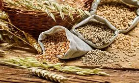 قزاقستان منبع جدید تامین غلات