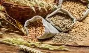 قزاقستان منبع جدید تامین غلات