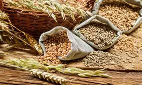قزاقستان منبع جدید تامین غلات