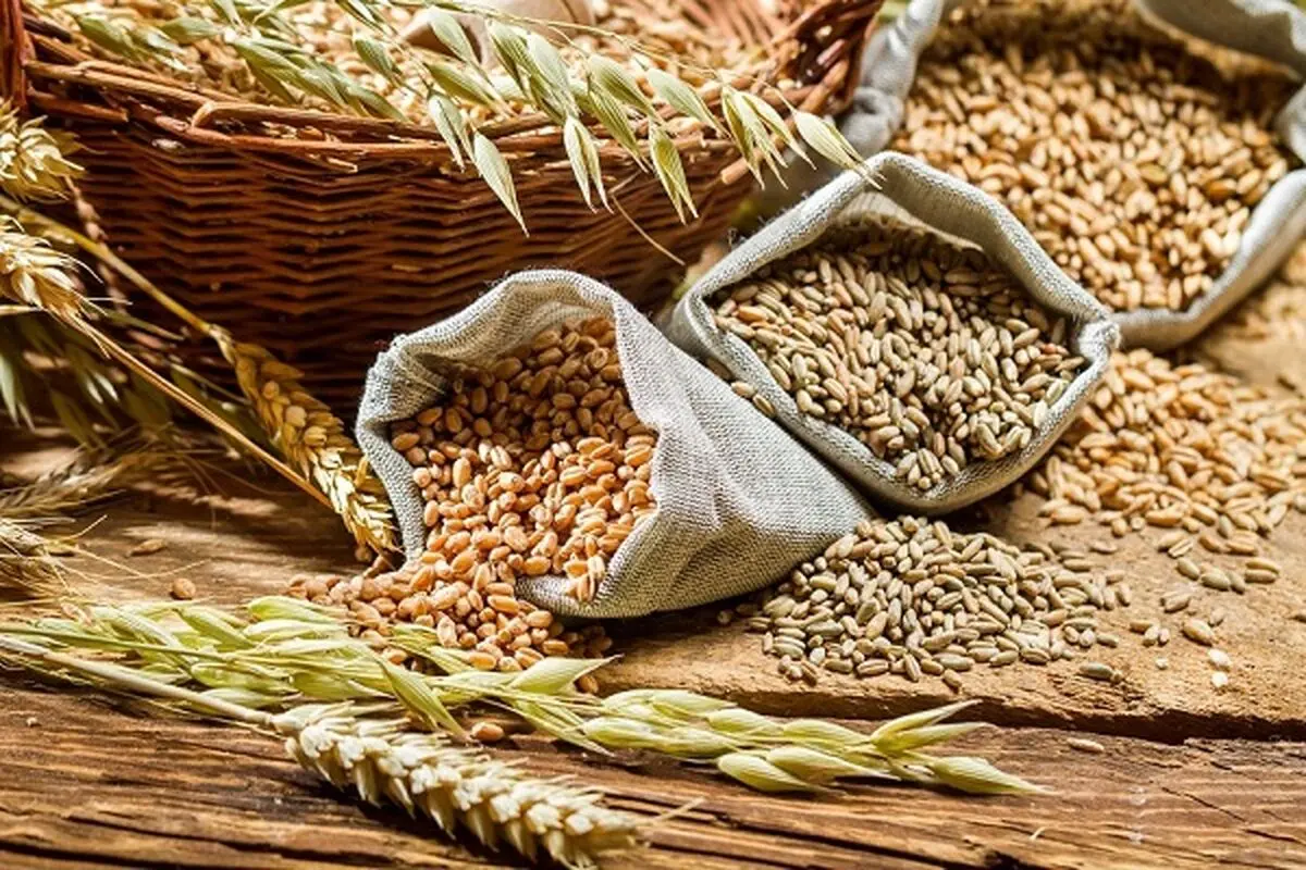 قزاقستان منبع جدید تامین غلات