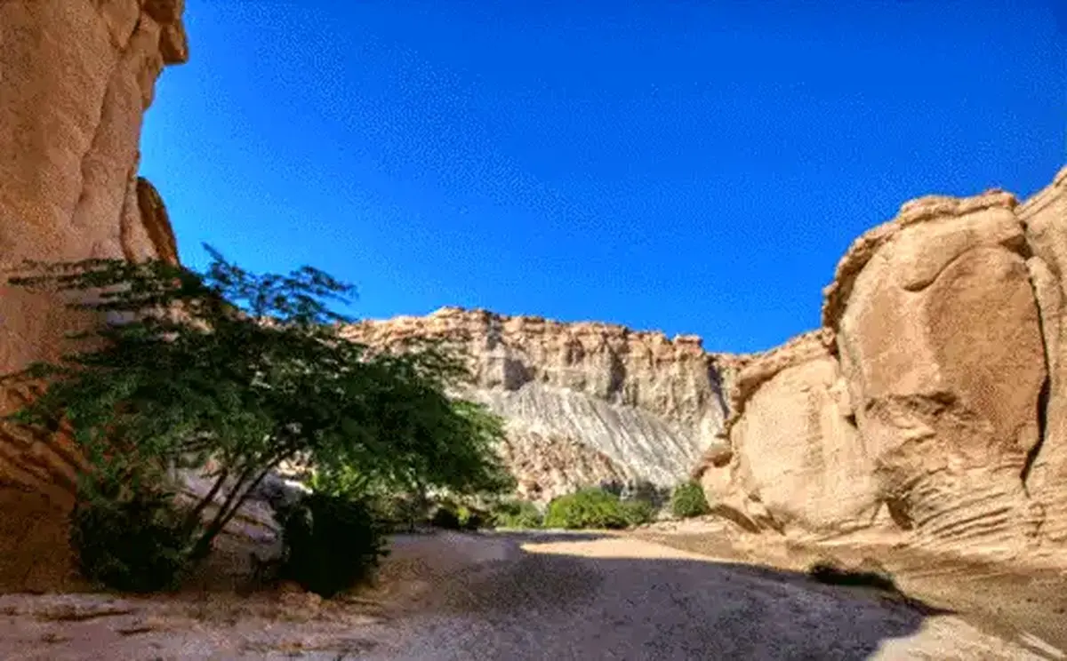 حمله پهپادی به کمپ گردشگری خانوادگی در قشم؛ ۳ نفر شهید و یک نفر زخمی