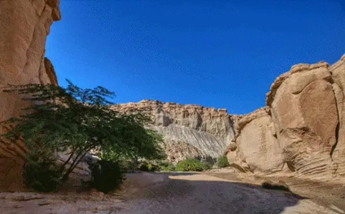 حمله پهپادی به کمپ گردشگری خانوادگی در قشم؛ ۳ نفر شهید و یک نفر زخمی