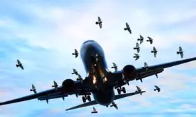 برخورد پرنده با هواپیمای بوئینگ در حال فرود در مهرآباد/ ویدئو

