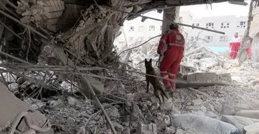 فقط در تهران بیش از ۳۰۰ نفر را از زیر آوار نجات دادیم