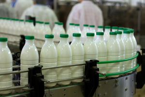 موافقت دولت با افزایش 25 درصدی قیمت شیرخام/ لبنیات چقدر گران می‌شود؟
