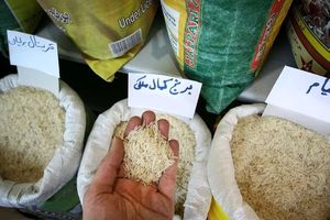 برنج پاکستانی رسما لوکس شد