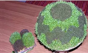 نحوه انداختن سبزه تخم شربتی