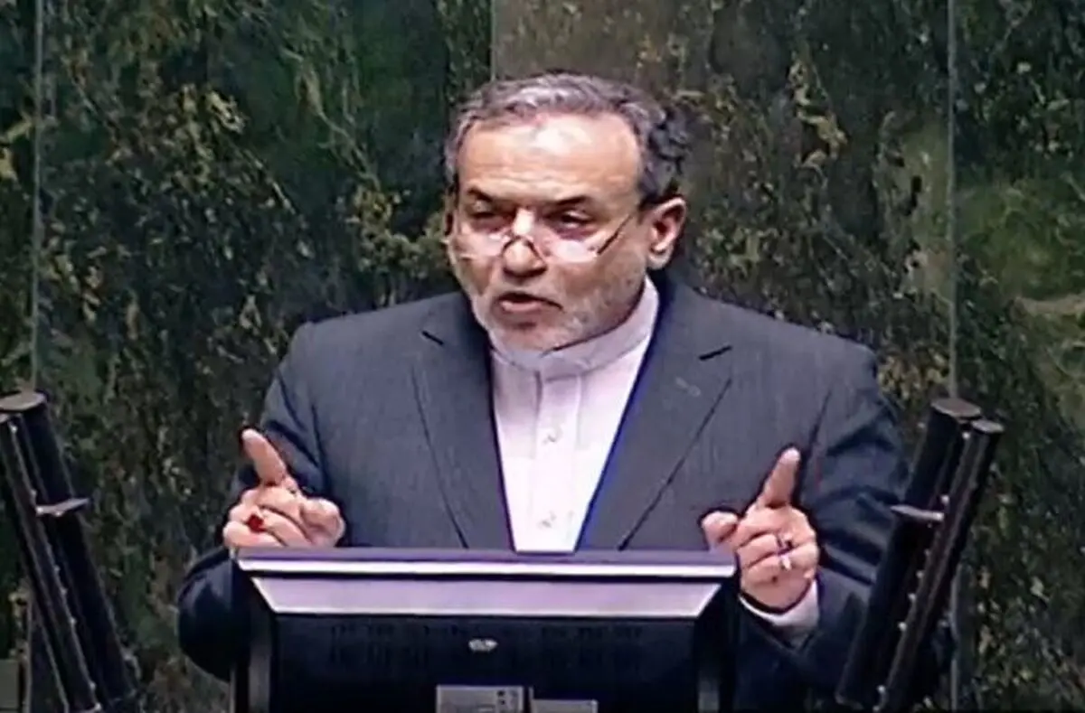 من نمی‌گویم مرگ بر وطنی که هموطنم عراقچی است/ من می‌گویم جانم فدای وطنی که فردی منتقد، ولایت‌پذیری مجلس را هم زیر سوال می‌برد/ فیلمی که از بنده در مجلس پخش شد جای تعجب داشت، این فیلم سند افتخار من است/ ویدئو
