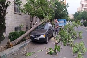 ۶۵ مصدوم و ۶ کشته بر اثر طوفان و صاعقه در کشور
