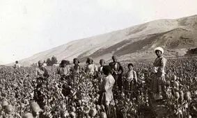 چه کسی به سلطنت خشخاش در ایران خاتمه داد؟ | عکس
