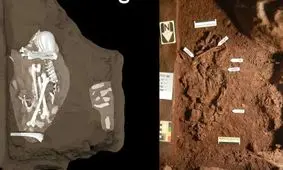 قدیمی‌ترین «قبر» جهان که شاید متعلق به یک گونۀ هوشمند «ماقبل انسان» بوده باشد