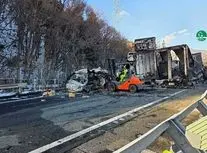 تصادف زنجیره‌ای ۶۷ خودرو در ژاپن؛ ۲۸ تن کشته و زخمی شدند/ ویدئو