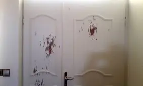 تیراندازی به منزل مسکونی دو مأمور جنگلبانی آمل