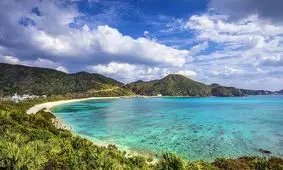 ماهی عجیب در اوکیناوا ژاپن/ ویدئو