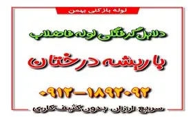 دلایل گرفتگی لوله فاضلاب با ریشه درختان