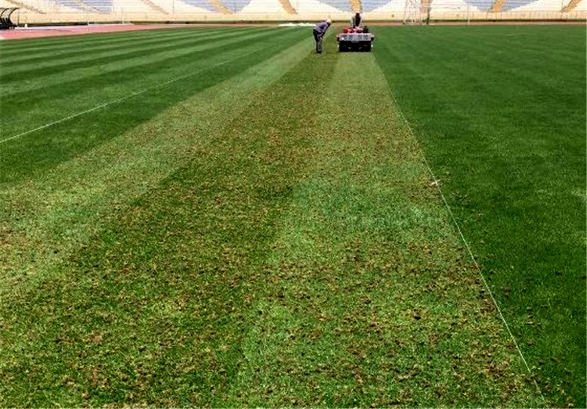 ورود دادستانی تهران به ماجرای آلوده بودن چمن ورزشگاه آزادی/ نمونه‌برداری انجام شد/ ویدئو


