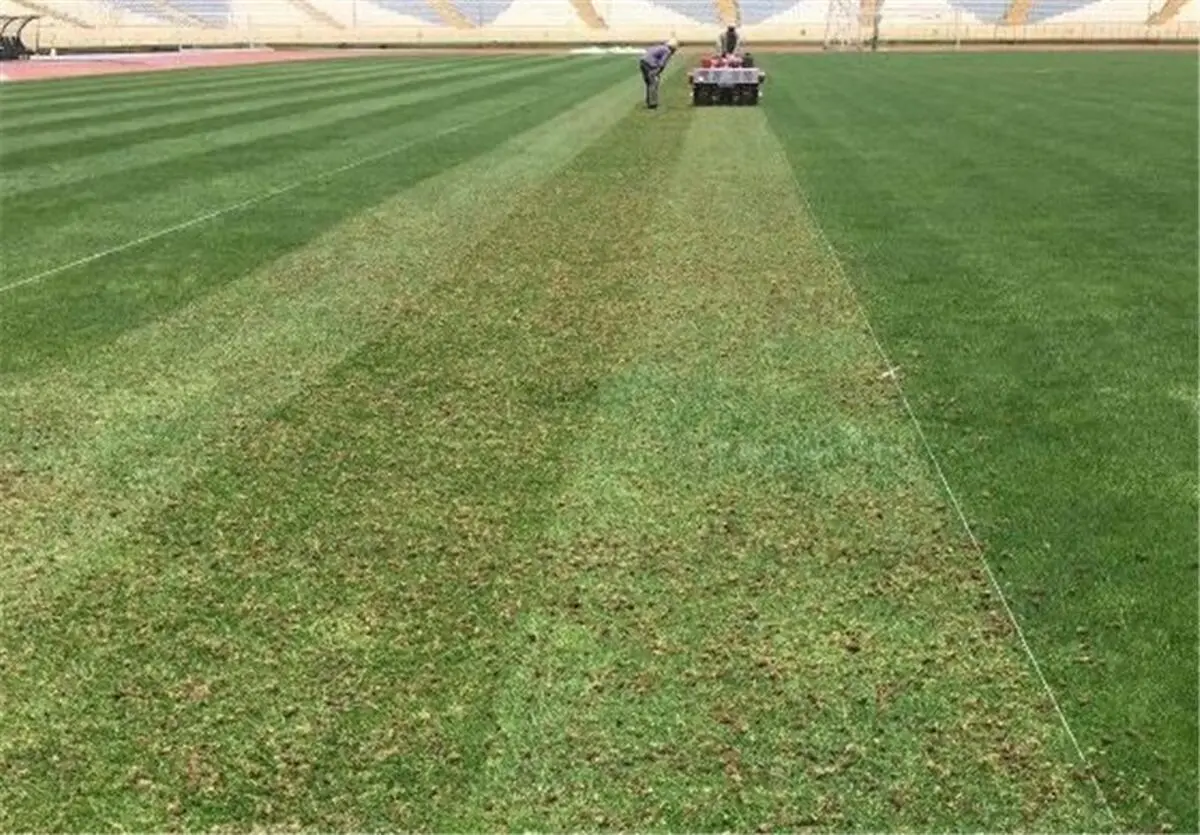 ورود دادستانی تهران به ماجرای آلوده بودن چمن ورزشگاه آزادی/ نمونه‌برداری انجام شد/ ویدئو

