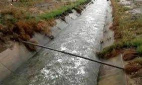 گم شدن کودک ۷ ساله در کانال آب قیام دشت/ ویدئو