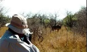 مصدومیت شکارچی متخلف در نطنز