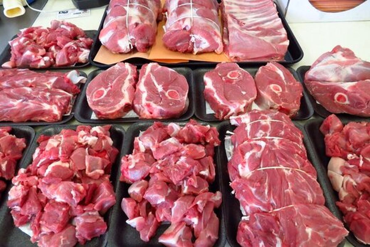 پیش بینی کاهش قیمت گوشت با ورود ۲۵۰ هزار تن گوشت