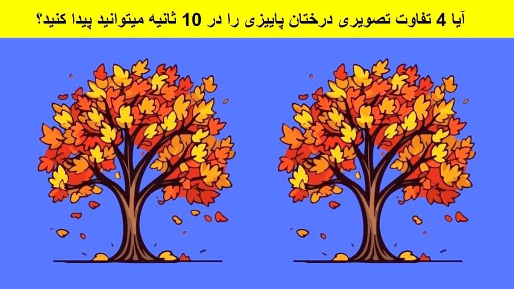 تفاوت تصویری درختان پاییزی