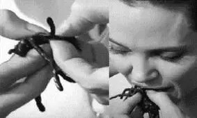 چرا سلبریتی‌ها حشره می‌خورند؟ داستان یک وعده غذایی عجیب